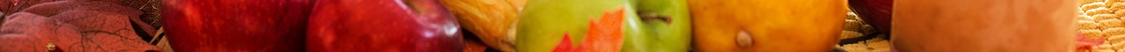Fruit Banner